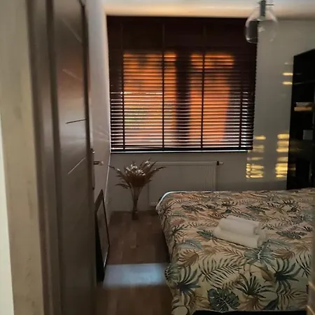 Dyrekcyjna *