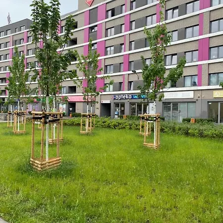 公寓 Dyrekcyjna 弗罗茨瓦夫