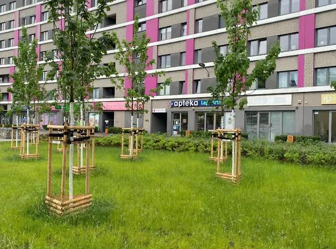 Appartamento Dyrekcyjna Breslavia