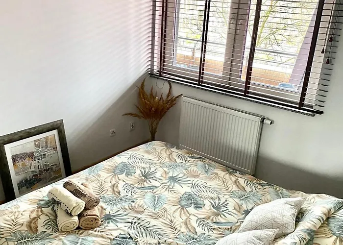 Appartement Dyrekcyjna *